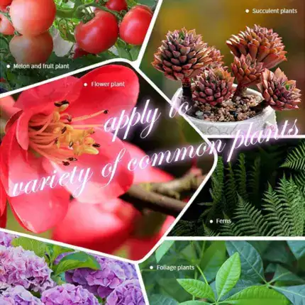 Home Gardening Universal Slow