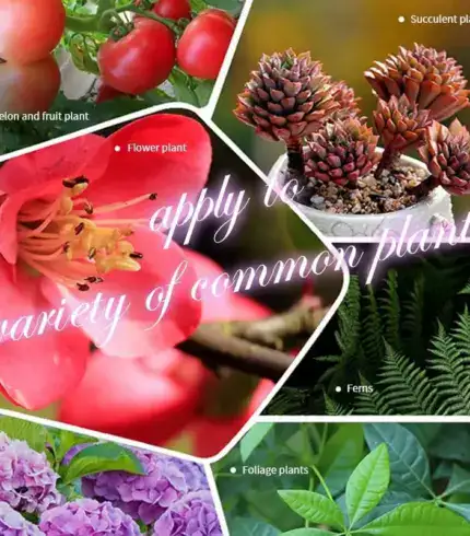 Home Gardening Universal Slow