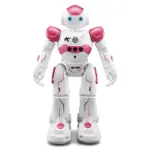 Gesture Sensing Smart Robot