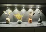 LED Cabinet Lighting System