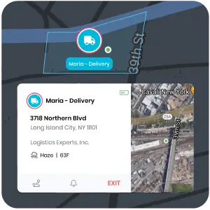 Detailed Reports
