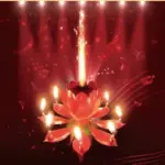 Magic Musical Flower Birthday Candle - Image 13