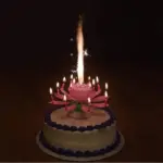 Magic Musical Flower Birthday Candle - Image 11